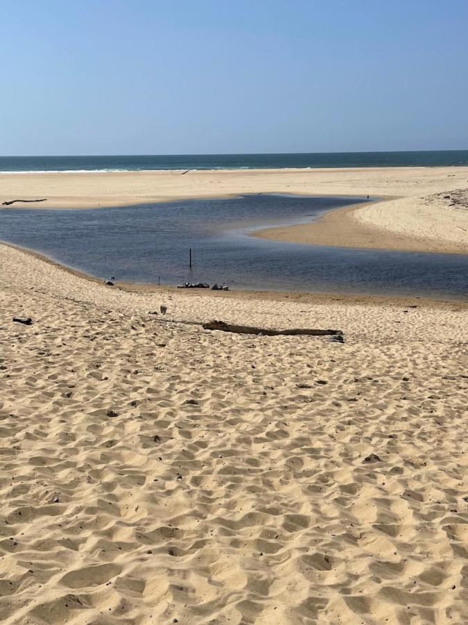 Sejour Moliets Plage Eksteriør billede